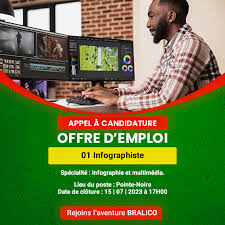 emploi infographiste