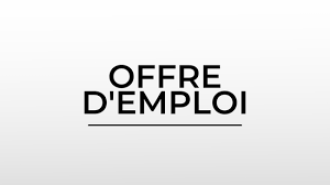 emploi traducteur