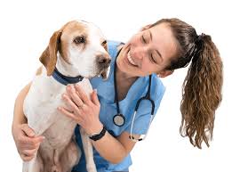 emploi veterinaire