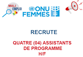 onu emploi