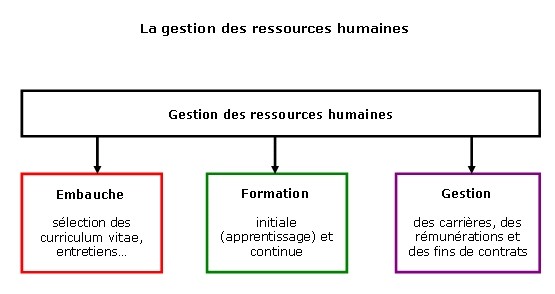 la fonction de ressources humaines