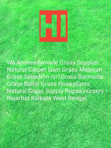 sélection turf