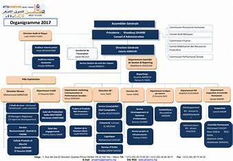 gestion des ressources humaines dans les organisations